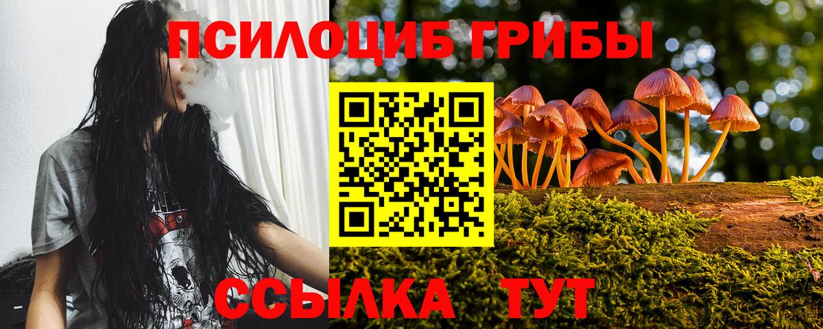 Галлюциногенные грибы Psilocybine cubensis Великий Новгород