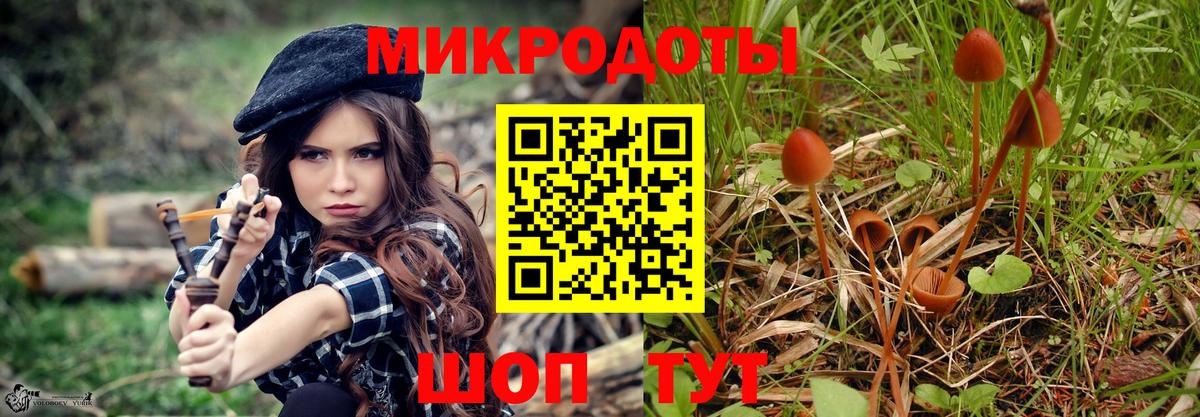 Великий Новгород  Галлюциногенные грибы Psilocybine cubensis  Вход с VPN  Псилоцибиновые грибы ЛСД 